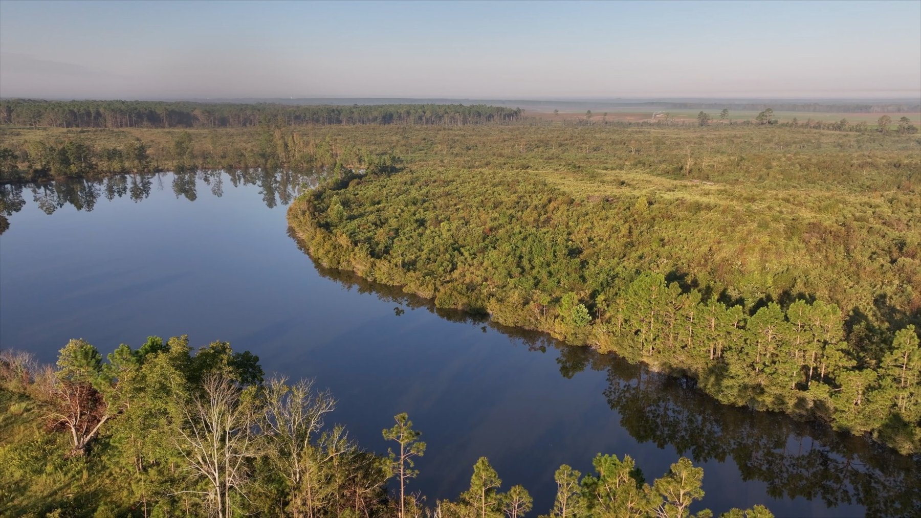 Image for Jamieson Place – 203+/- Acres - Recreational Investment Opportunity - Dodge County, Georgia