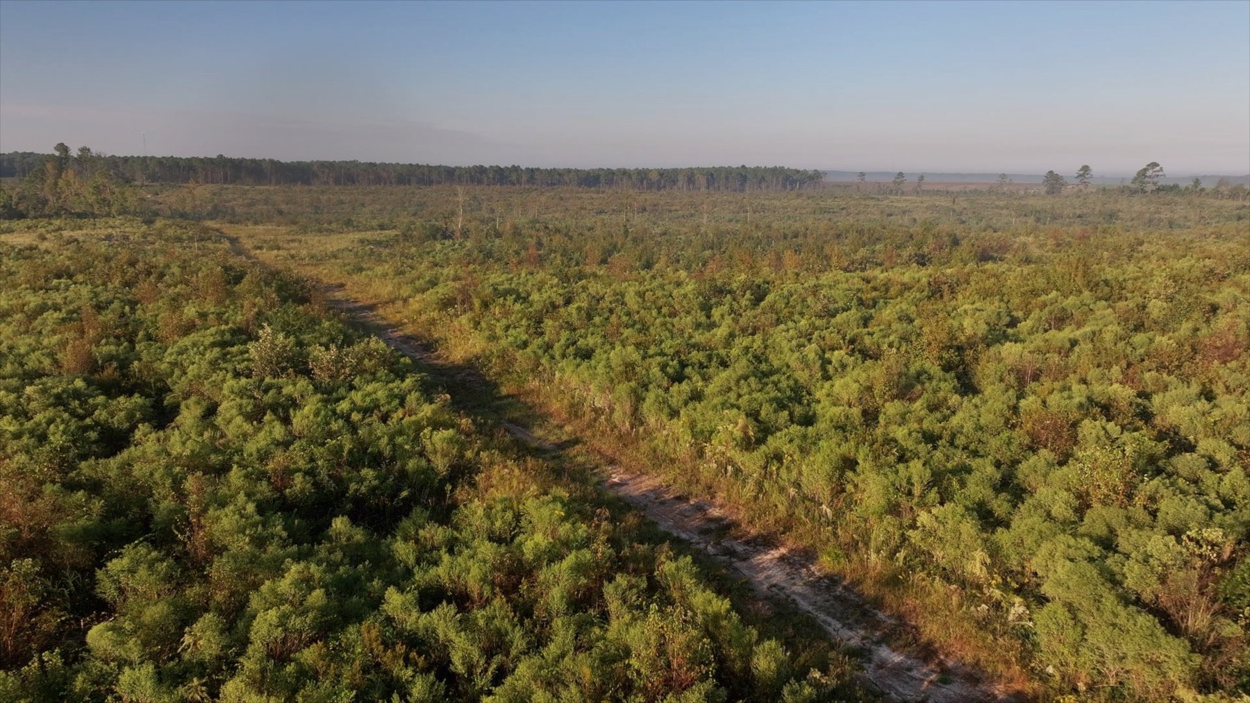 Image for Jamieson Place – 203+/- Acres - Recreational Investment Opportunity - Dodge County, Georgia
