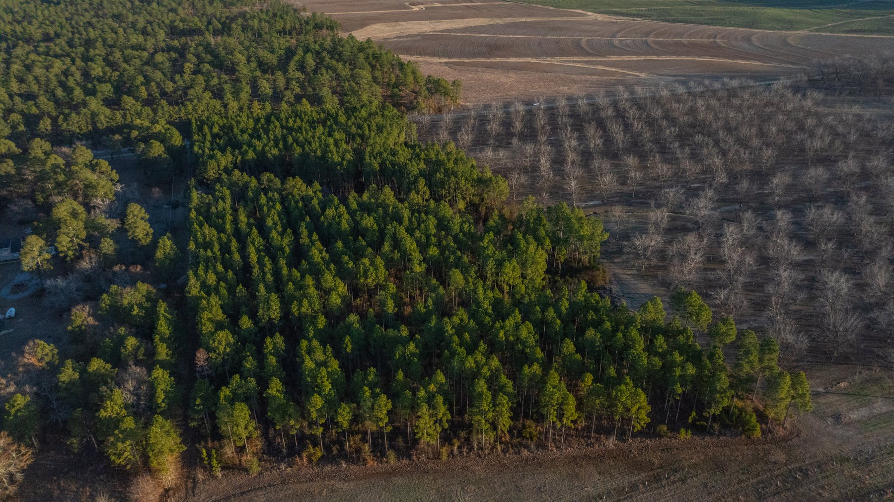 Image for RESERVE HAS BEEN MET! 40.1 +/- Acres - Pleasant Grove Pines (2) Potential Homesites w/ Recreational Acreage