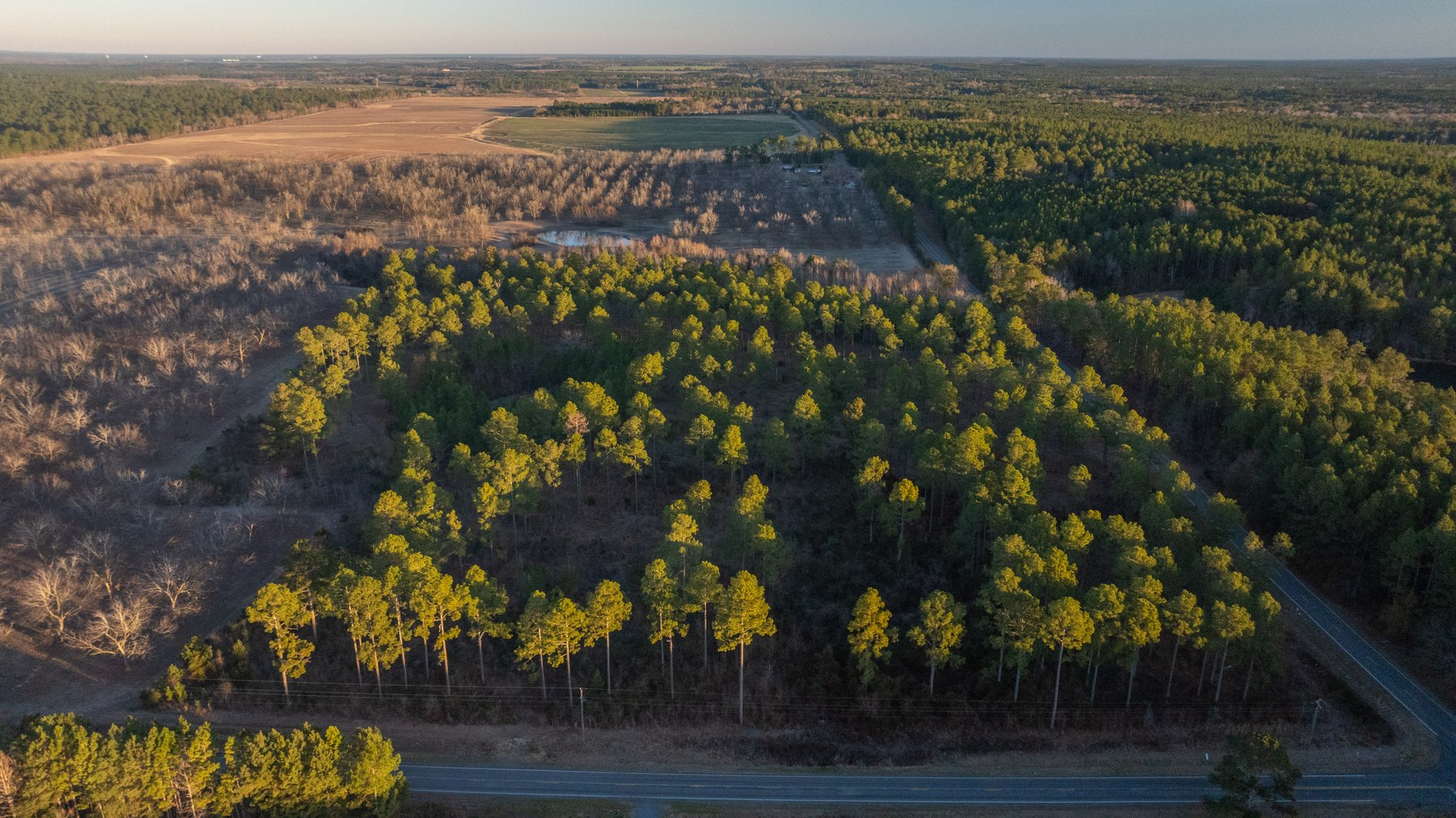Image for RESERVE HAS BEEN MET! 40.1 +/- Acres - Pleasant Grove Pines (2) Potential Homesites w/ Recreational Acreage