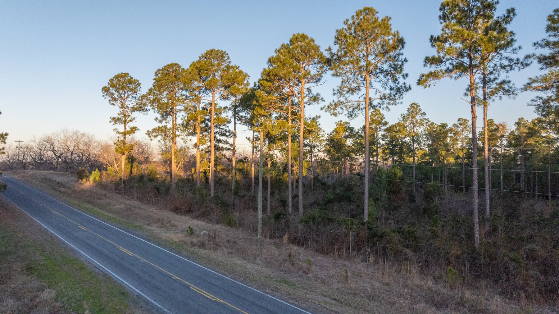 Image for RESERVE HAS BEEN MET! 40.1 +/- Acres - Pleasant Grove Pines (2) Potential Homesites w/ Recreational Acreage