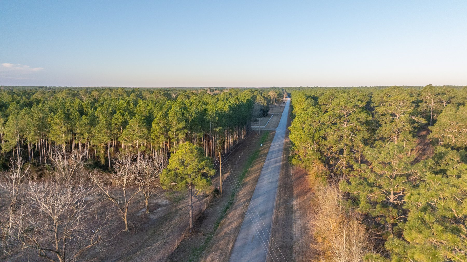 Image for RESERVE HAS BEEN MET! 40.1 +/- Acres - Pleasant Grove Pines (2) Potential Homesites w/ Recreational Acreage