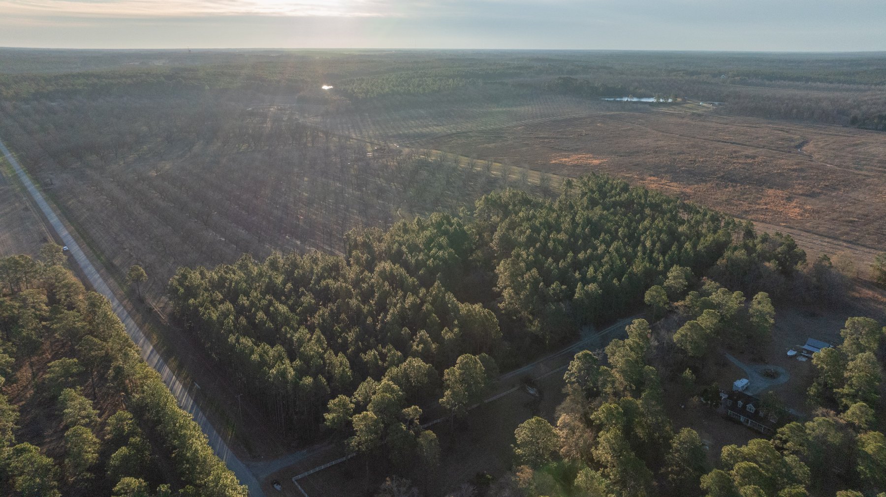 Image for RESERVE HAS BEEN MET! 40.1 +/- Acres - Pleasant Grove Pines (2) Potential Homesites w/ Recreational Acreage
