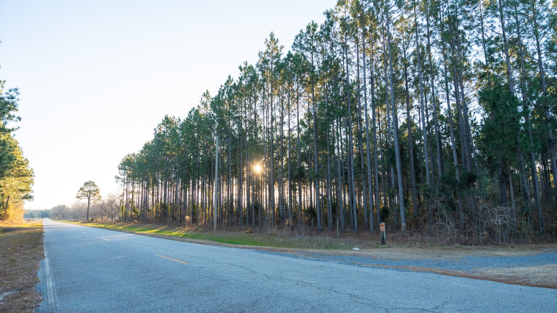 Image for RESERVE HAS BEEN MET! 40.1 +/- Acres - Pleasant Grove Pines (2) Potential Homesites w/ Recreational Acreage