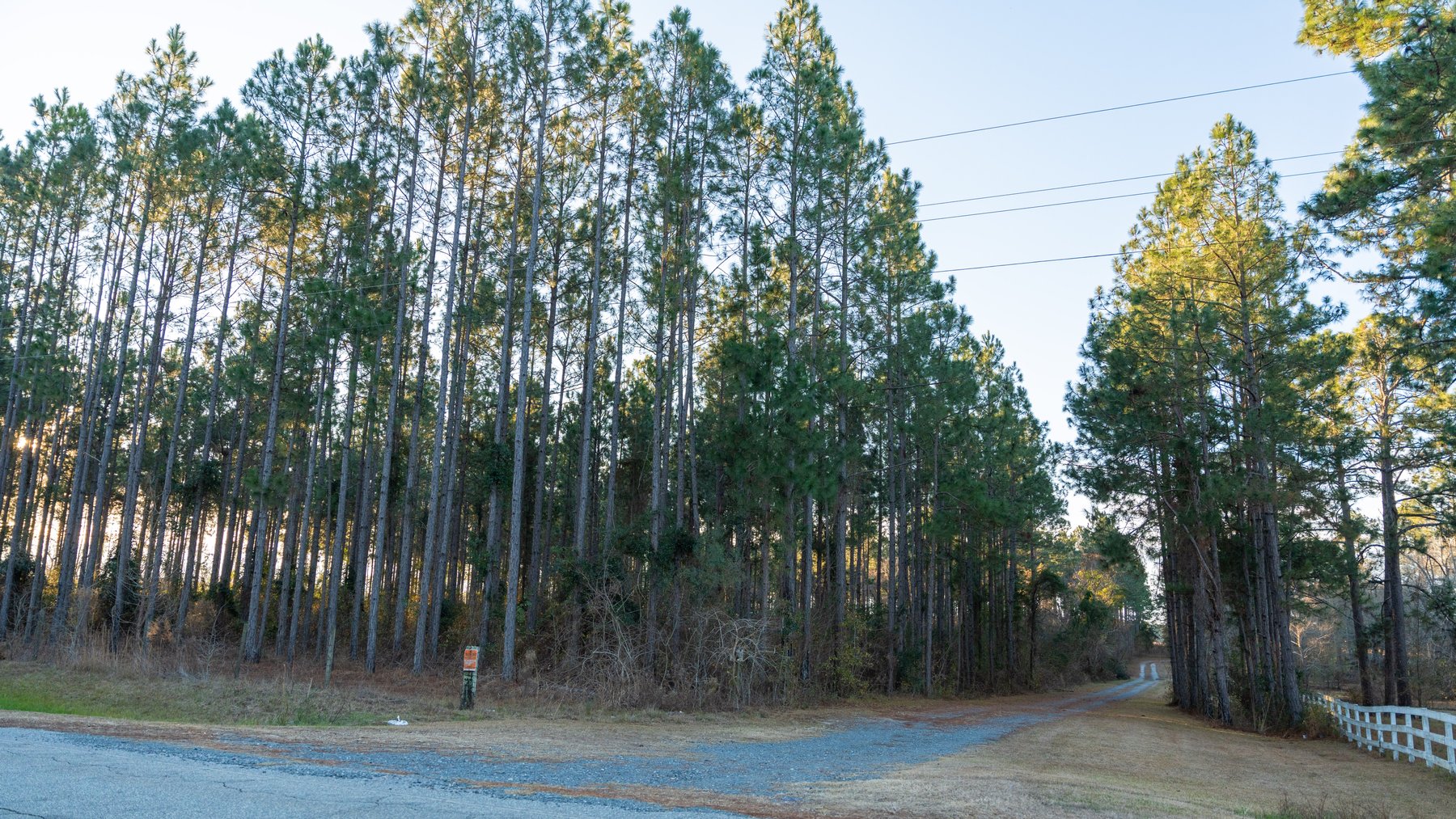 Image for RESERVE HAS BEEN MET! 40.1 +/- Acres - Pleasant Grove Pines (2) Potential Homesites w/ Recreational Acreage