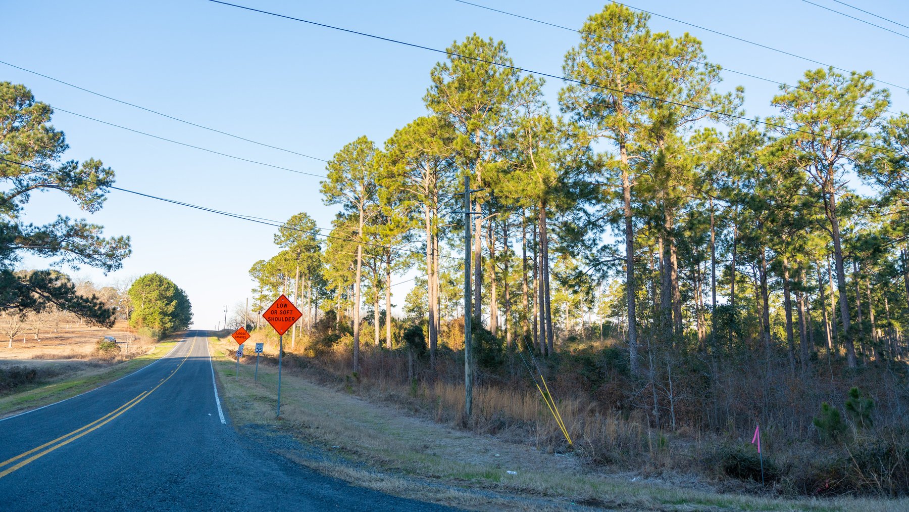 Image for RESERVE HAS BEEN MET! 40.1 +/- Acres - Pleasant Grove Pines (2) Potential Homesites w/ Recreational Acreage