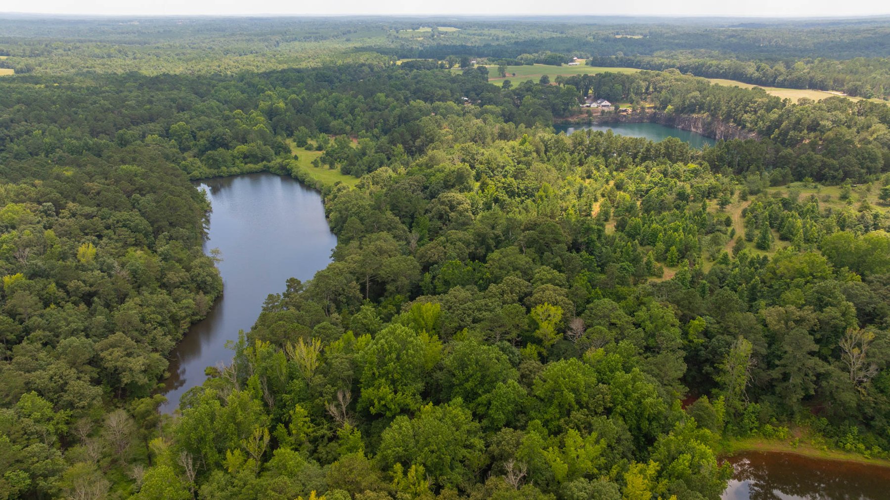 Image for 300.93+/- Acres - Rock Quarry Ridge - Sportsman’s Paradise w/ Beautiful Lakes & Homesite Potential - Offered Divided & As a Whole