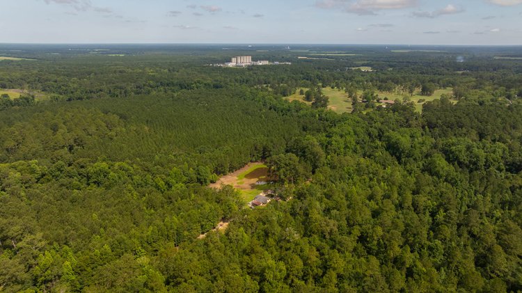 Image for 28.58+/- Total Acres -  Rental Home w/ Mature Timber - Recreational & Investment Opportunity