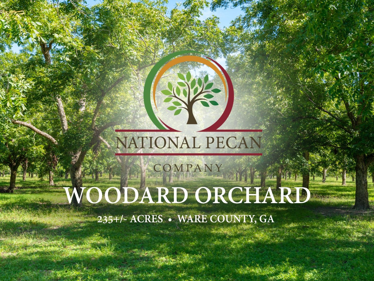 Image for 235± Acres – Woodard Orchard - Irrigated Pecan Orchard with Pond,  Homes, Buildings & Improvements - Prime Development Potential