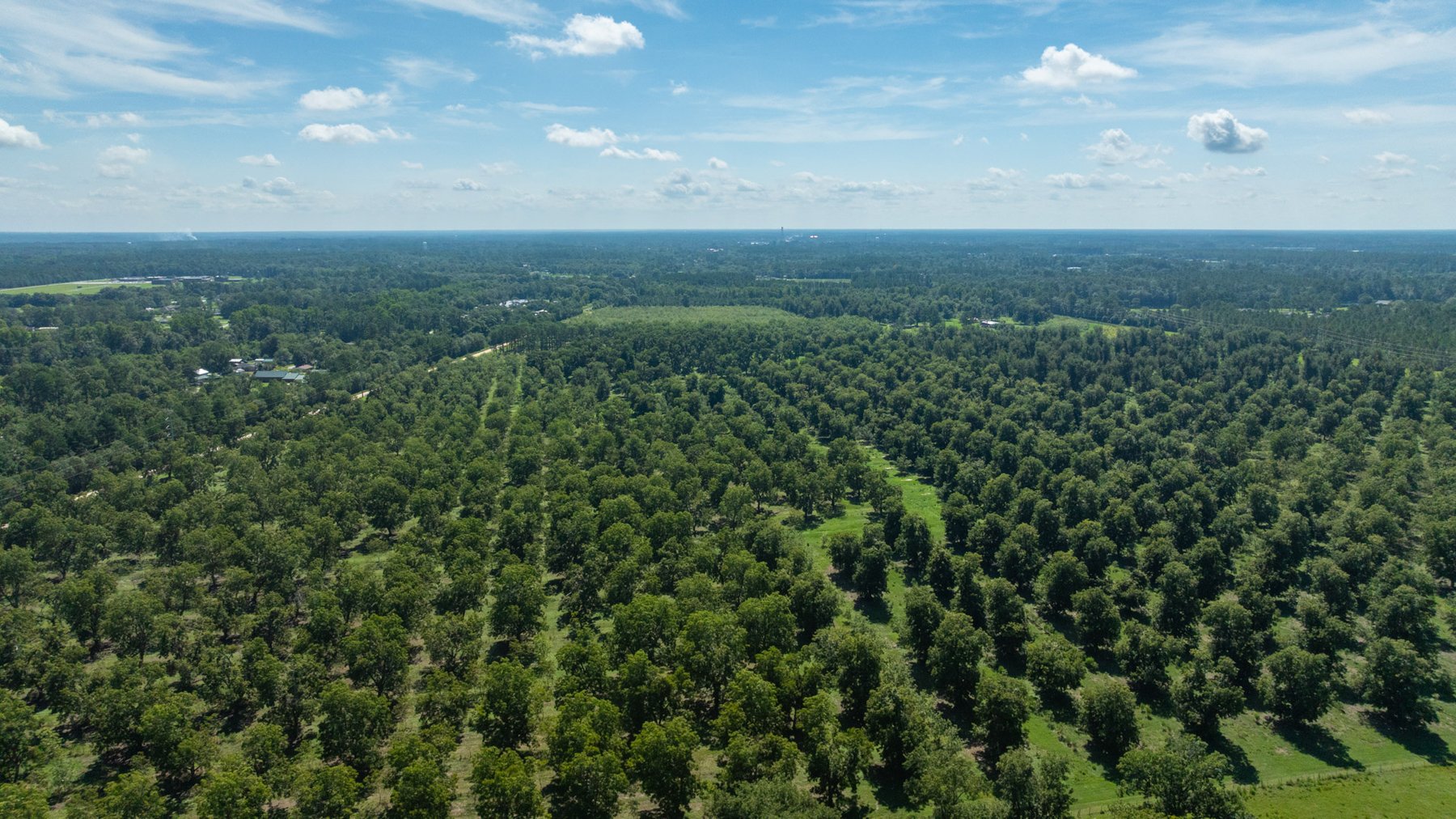 Image for 235± Acres – Woodard Orchard - Irrigated Pecan Orchard with Pond,  Homes, Buildings & Improvements - Prime Development Potential