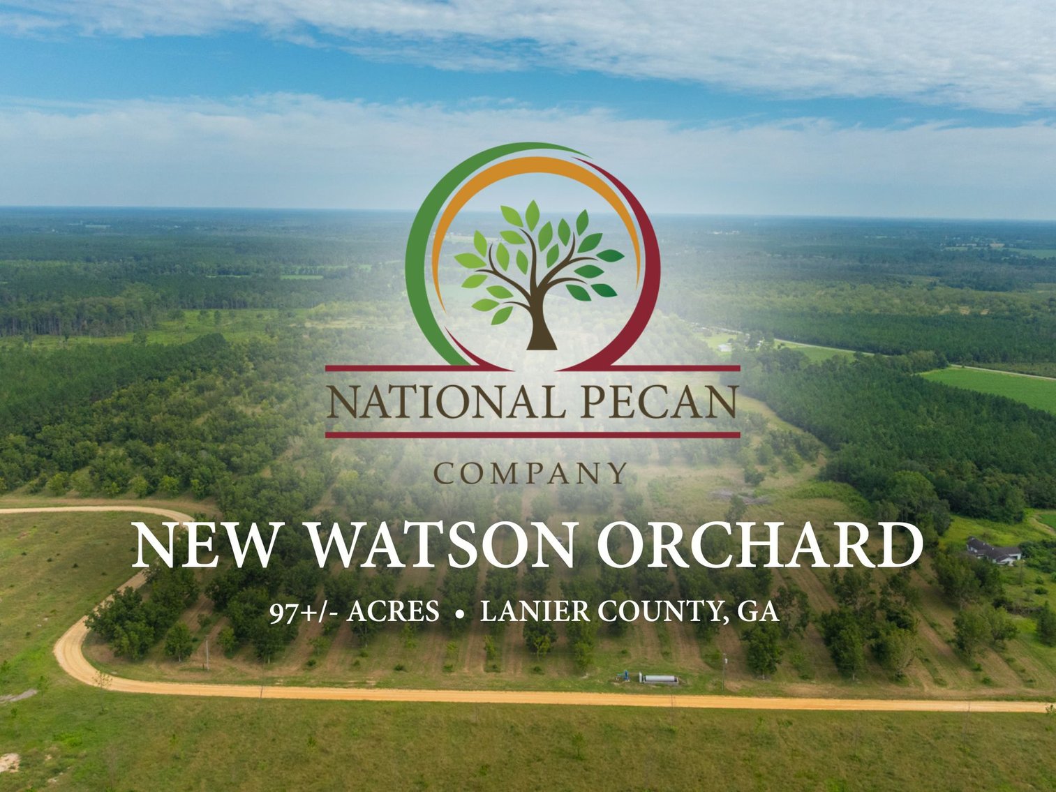 Image for 97± Acres - New Watson Orchard - Irrigated Pecan Orchard with Strong Varieties - Mini-Farm & Homesite Potential
