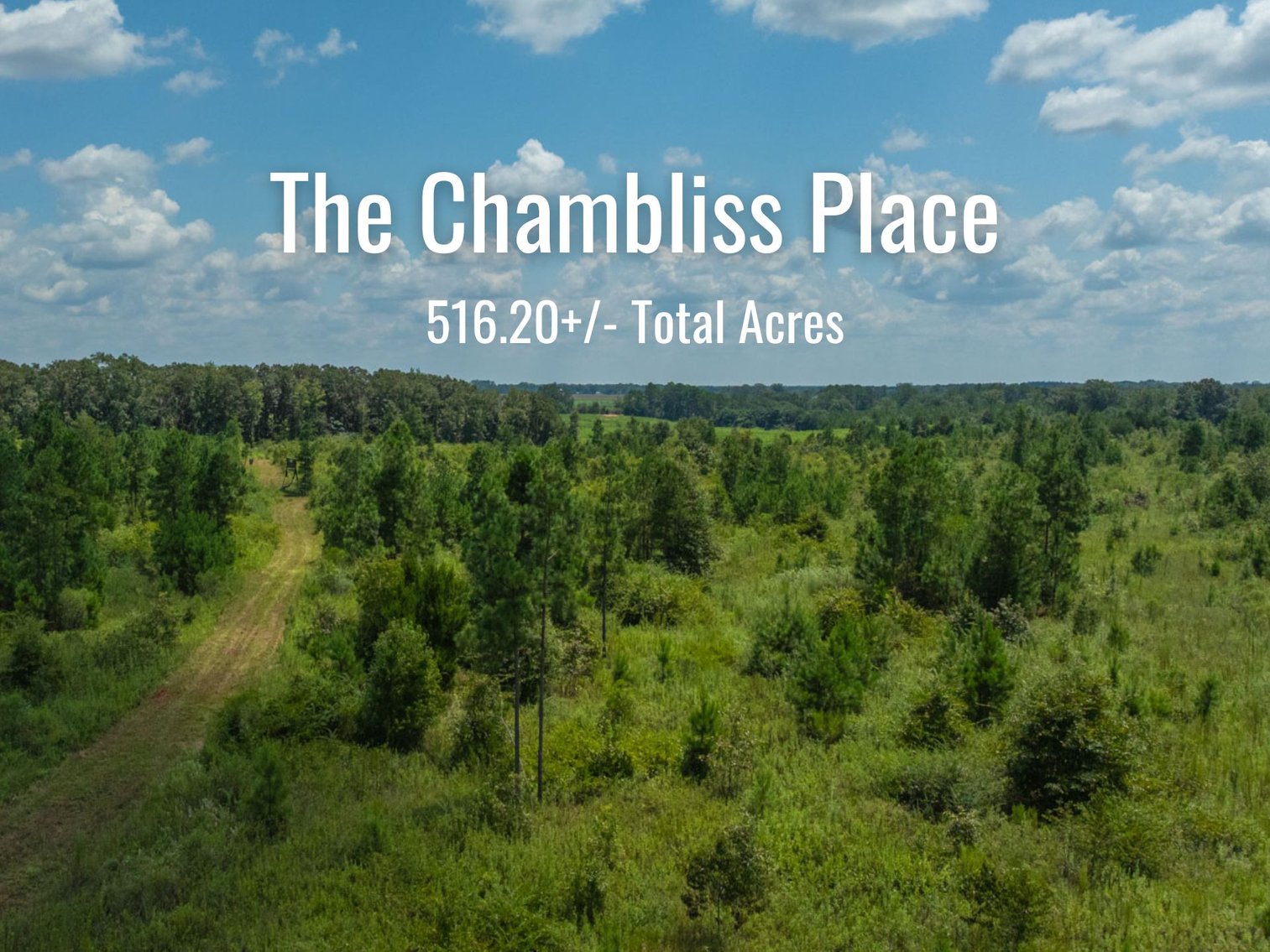 Image for 516.20 +/- Acres – The Chambliss Place  (4) - Prime Terrell County Recreational Tracts - Row Crop Cultivation Potential