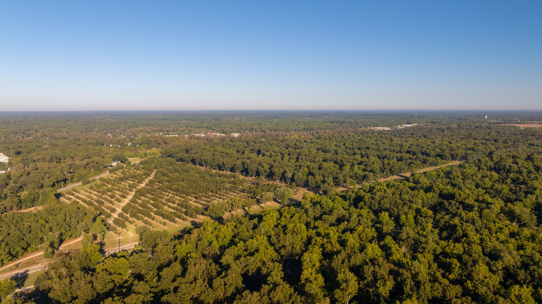 Image for 518+/- Acres - LKC Groves - Turn-Key Pecan Operation - Prime Development Potential - Offered Divided & As A Whole