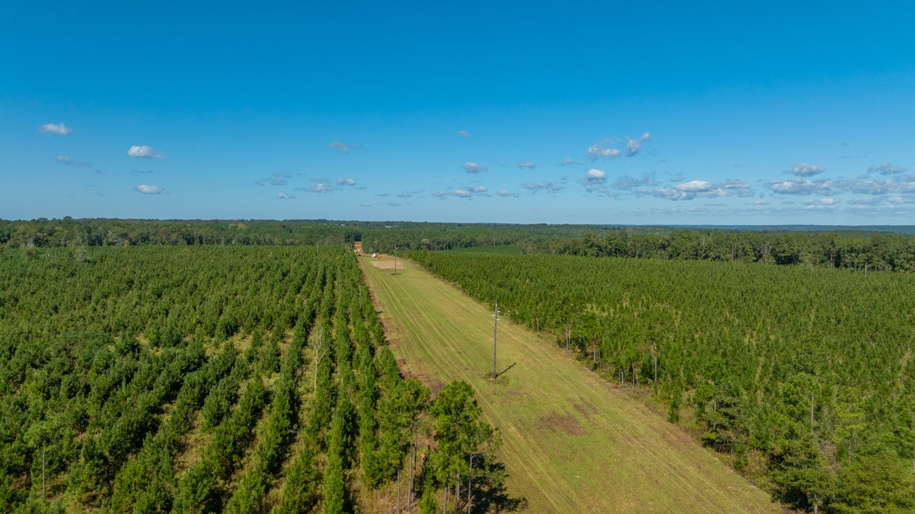 Image for Simpson 154 Land Auction - 154+/- Total Acres - 3 Tracts - Planted Pines & Premium Hunting - Offered Divided & As A Whole