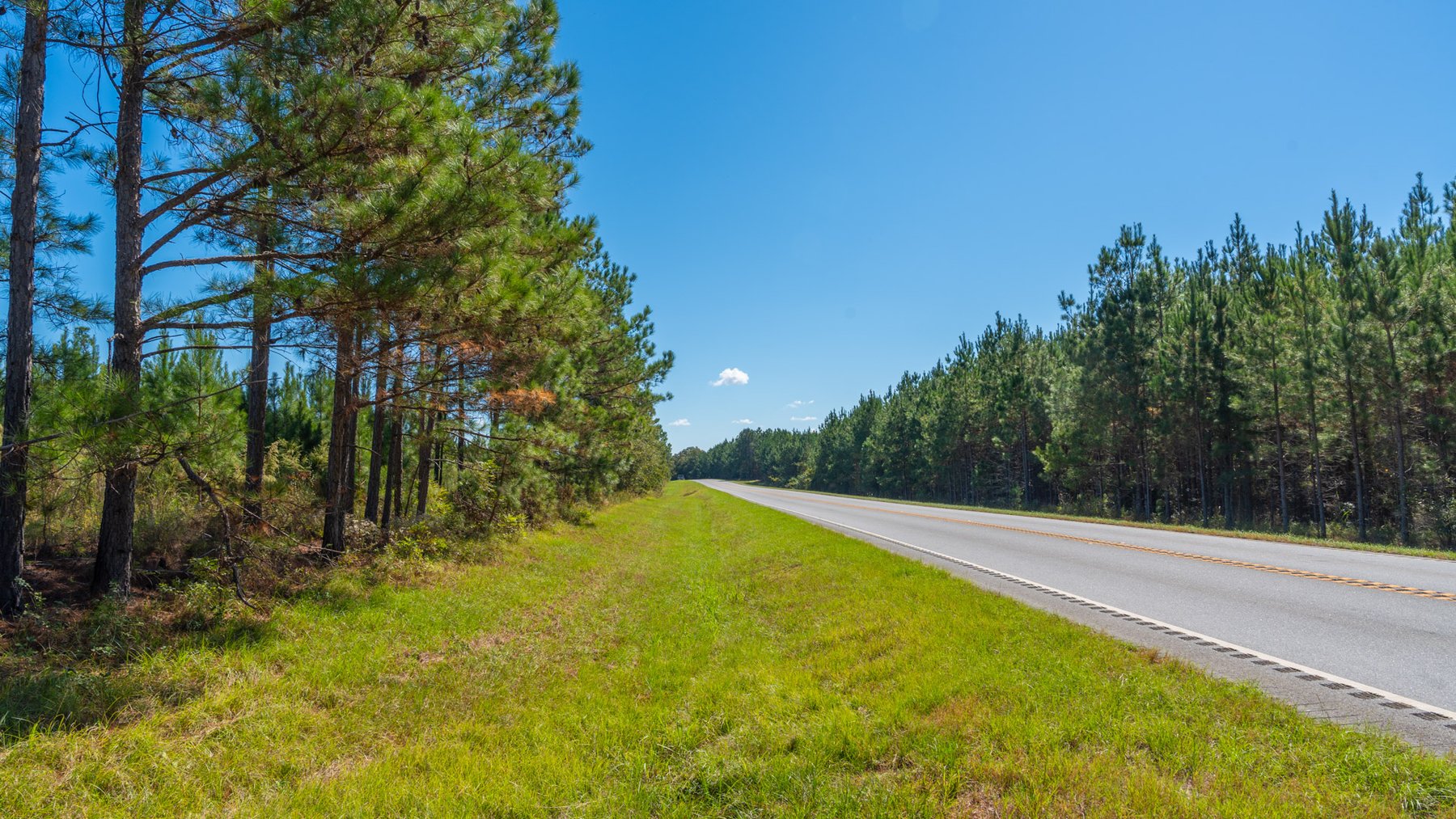 Image for Simpson 154 Land Auction - 154+/- Total Acres - 3 Tracts - Planted Pines & Premium Hunting - Offered Divided & As A Whole