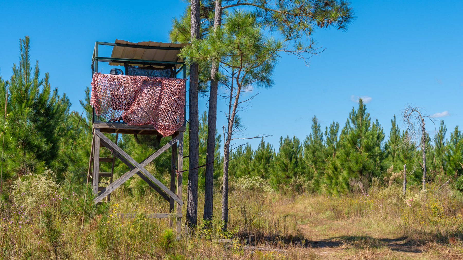 Image for Simpson 154 Land Auction - 154+/- Total Acres - 3 Tracts - Planted Pines & Premium Hunting - Offered Divided & As A Whole