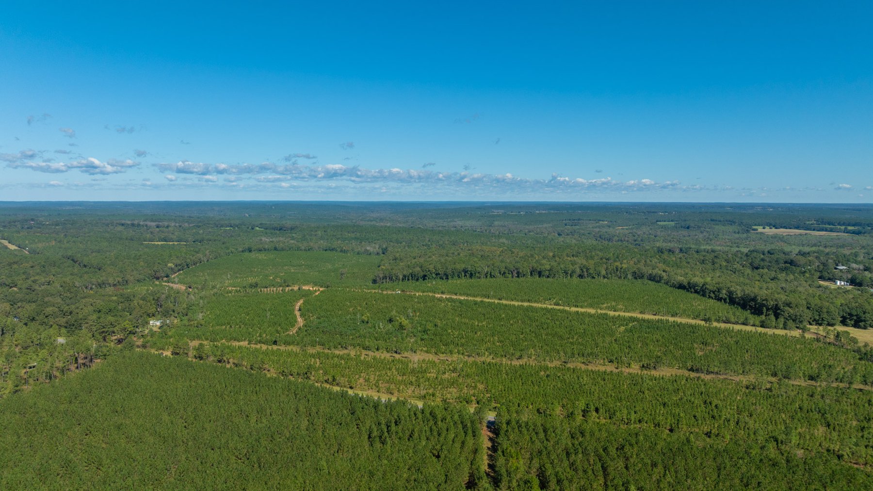 Image for Simpson 154 Land Auction - 154+/- Total Acres - 3 Tracts - Planted Pines & Premium Hunting - Offered Divided & As A Whole