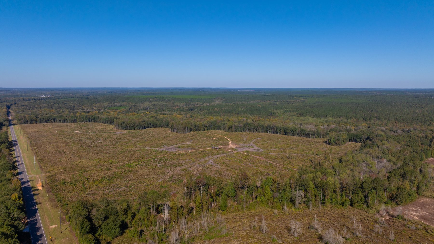Image for Spann 150 Land Auction - 150+/- Acres - 4 Tracts - Sportsman's Paradise - Choctahatchee Creek Frontage - Offered Divided & As A Whole