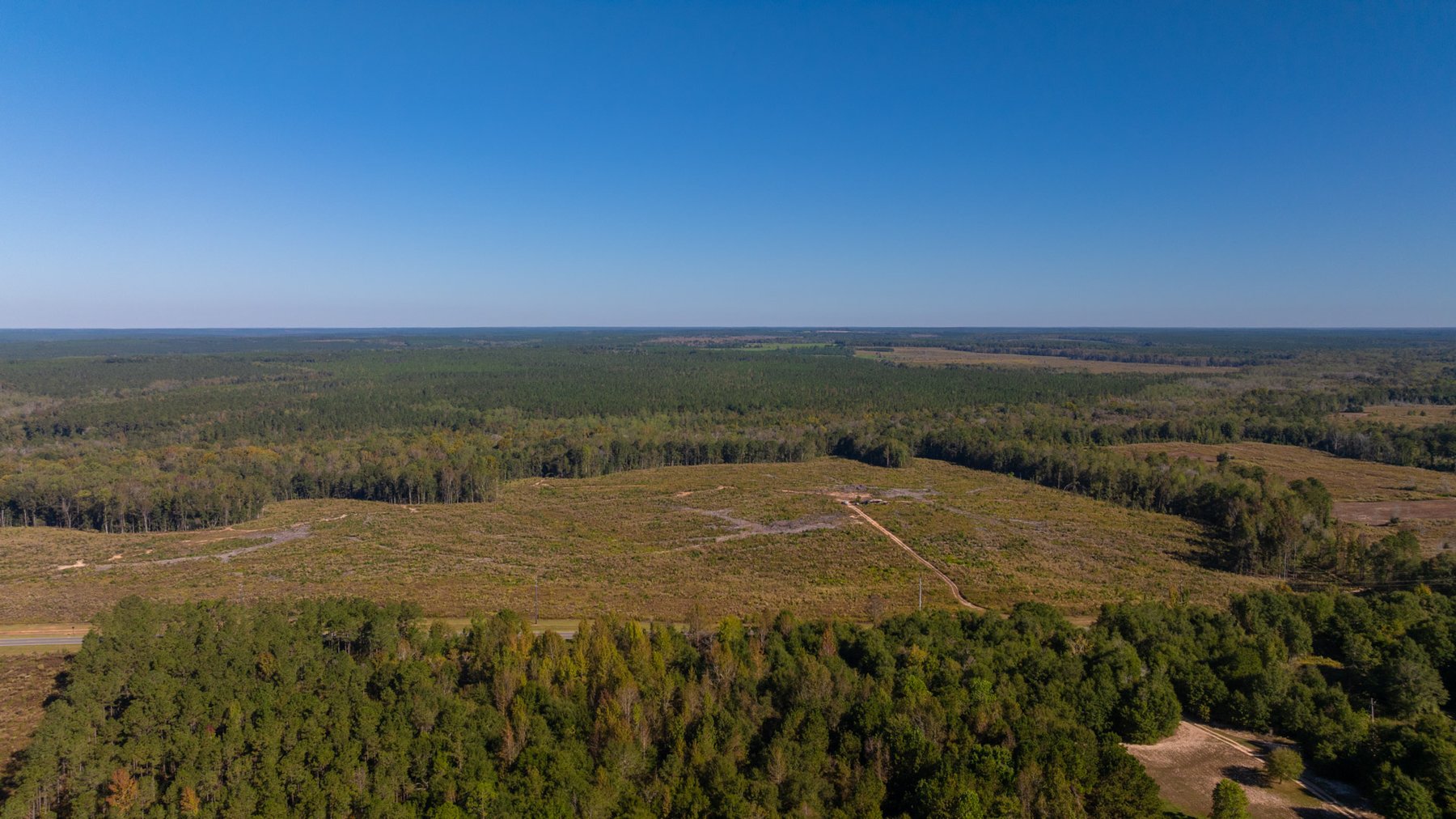 Image for Spann 150 Land Auction - 150+/- Acres - 4 Tracts - Sportsman's Paradise - Choctahatchee Creek Frontage - Offered Divided & As A Whole