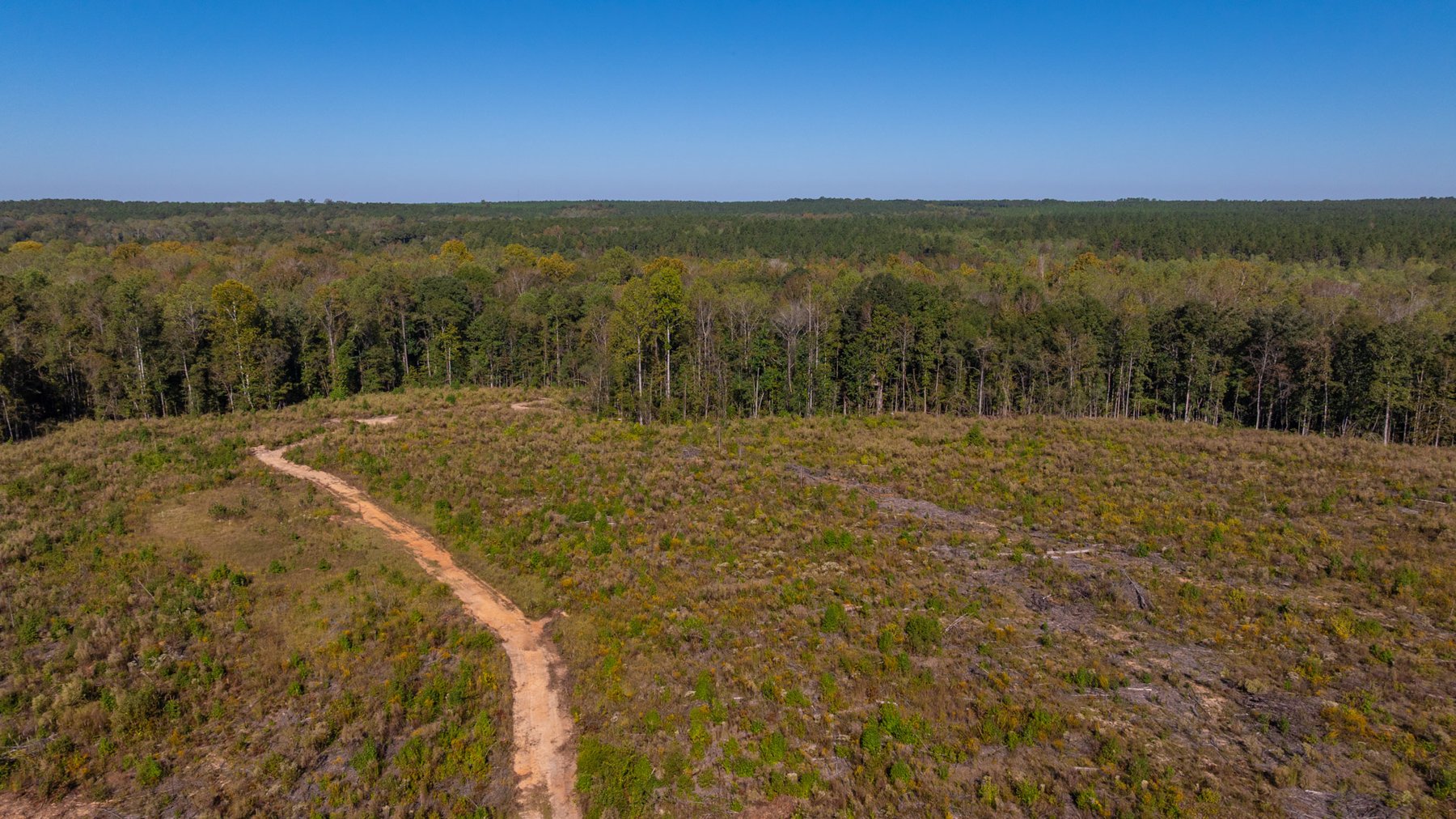 Image for Spann 150 Land Auction - 150+/- Acres - 4 Tracts - Sportsman's Paradise - Choctahatchee Creek Frontage - Offered Divided & As A Whole