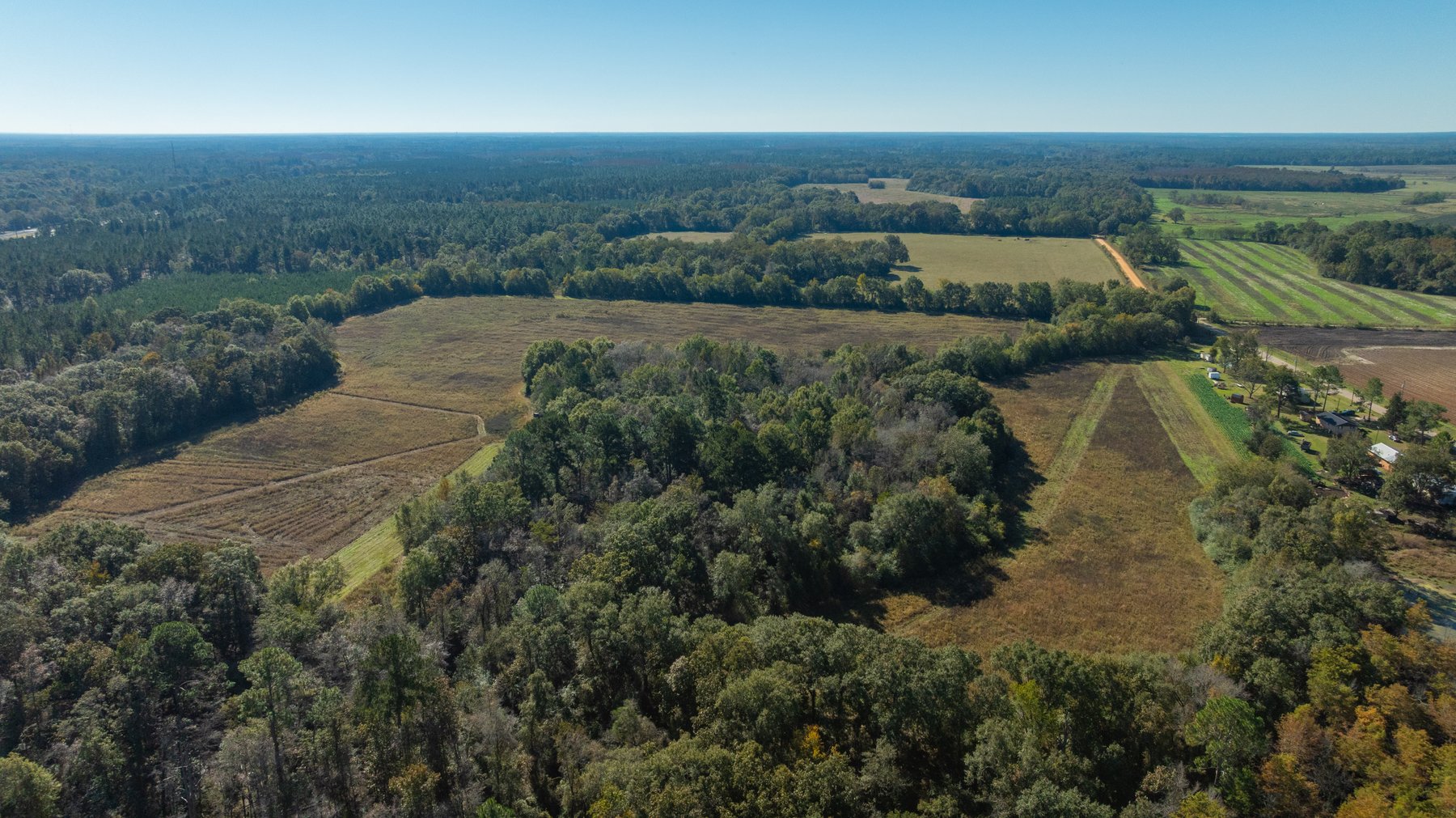 Image for 300+/- Total Acres - The Smithville Farm - Sportsman's Paradise W/ Row Crop Farmland