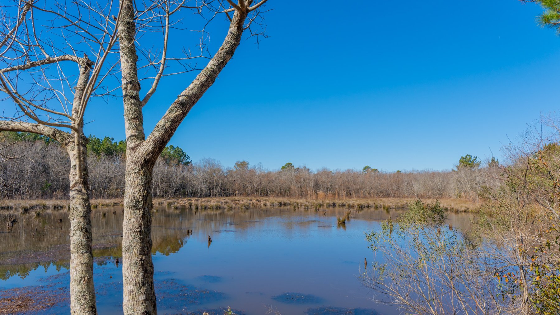 Image for 294+/- Acres – Hester Farm - Exceptional Hunting Opportunity - Versatile Farmland, Timber, & Ponds Offered Divided & as a Whole