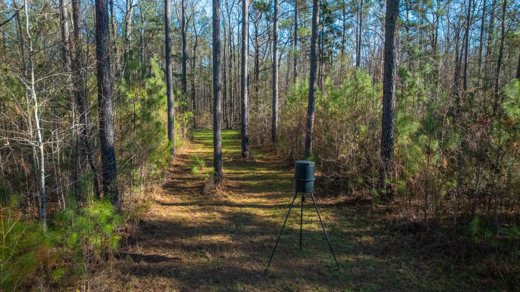 Image for Margaret Kenworthy Estate - 199+/- Total Acres - 1,760 SF Southern Charm Home - Planted Pine, Hardwoods & Pond - Echeconnee Creek Frontage