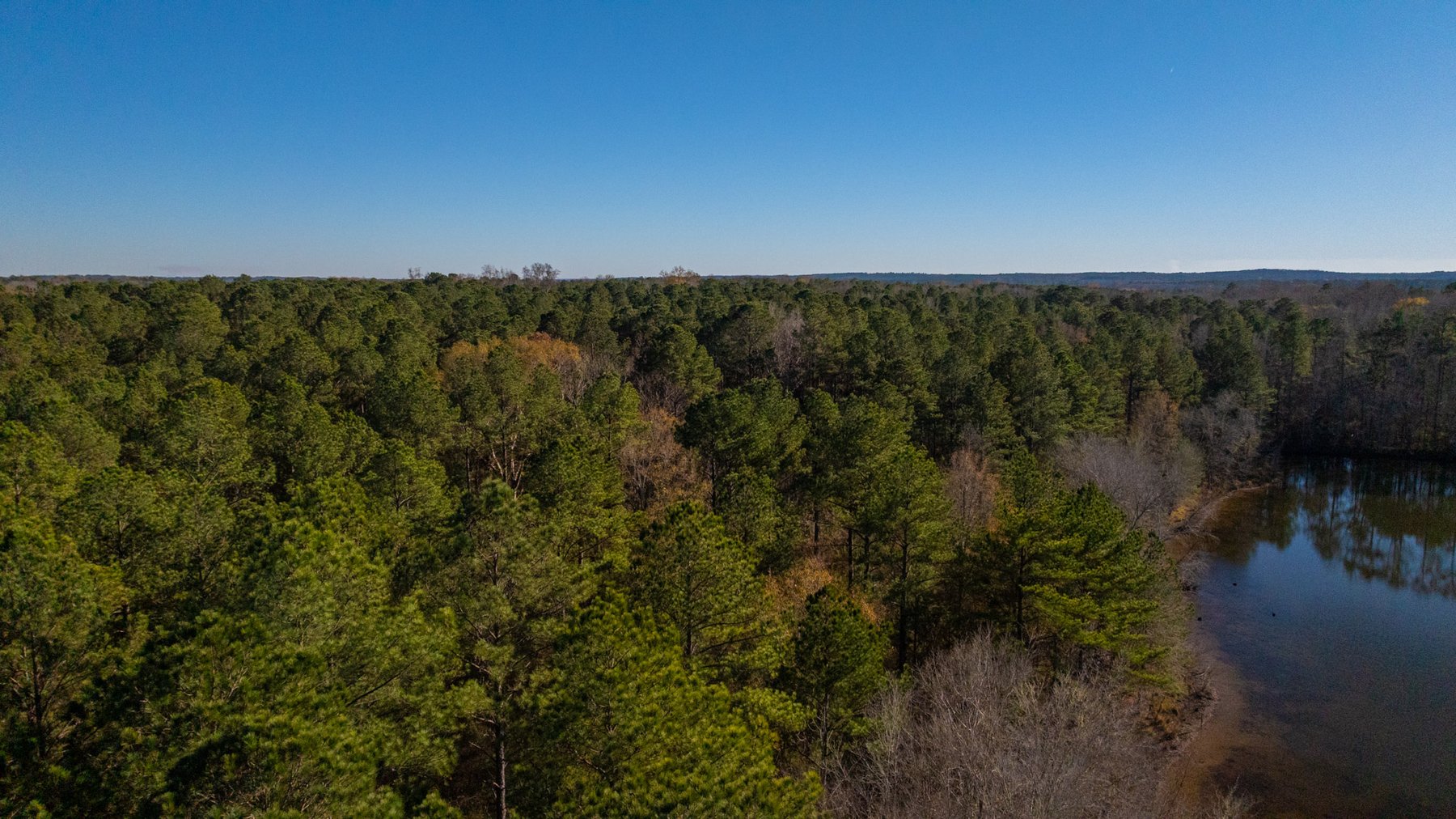 Image for Margaret Kenworthy Estate - 199+/- Total Acres - 1,760 SF Southern Charm Home - Planted Pine, Hardwoods & Pond - Echeconnee Creek Frontage