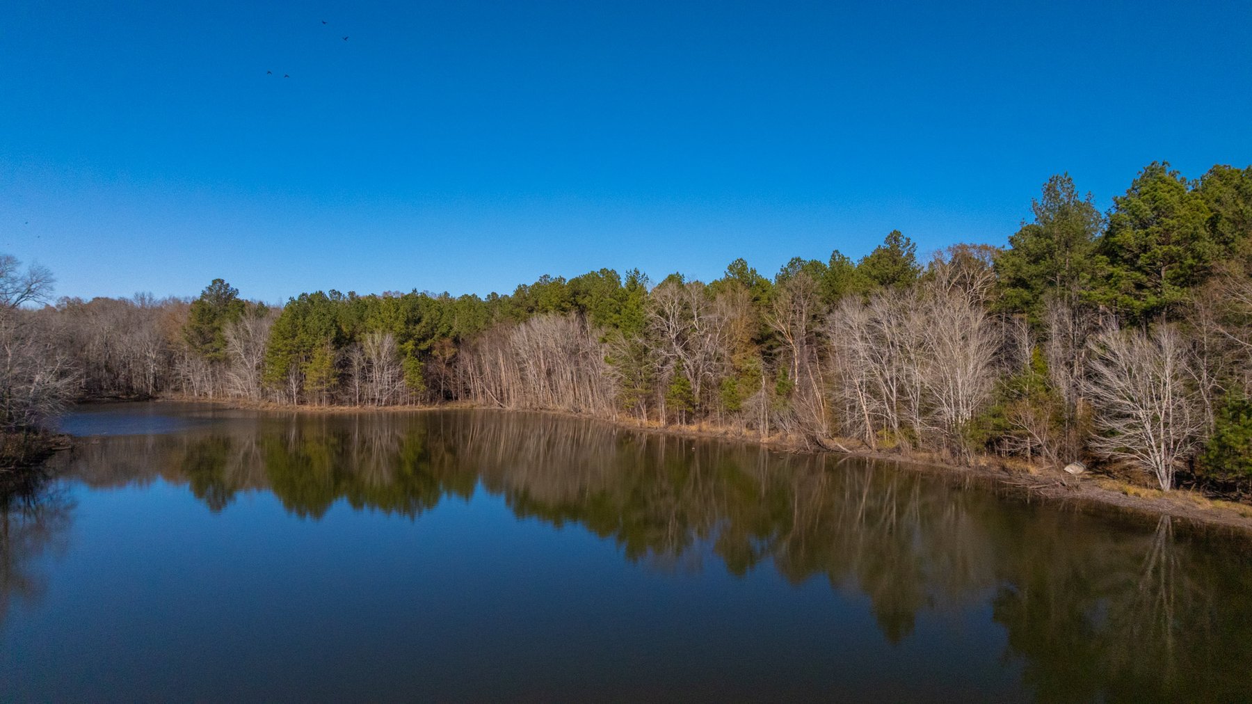 Image for Margaret Kenworthy Estate - 199+/- Total Acres - 1,760 SF Southern Charm Home - Planted Pine, Hardwoods & Pond - Echeconnee Creek Frontage