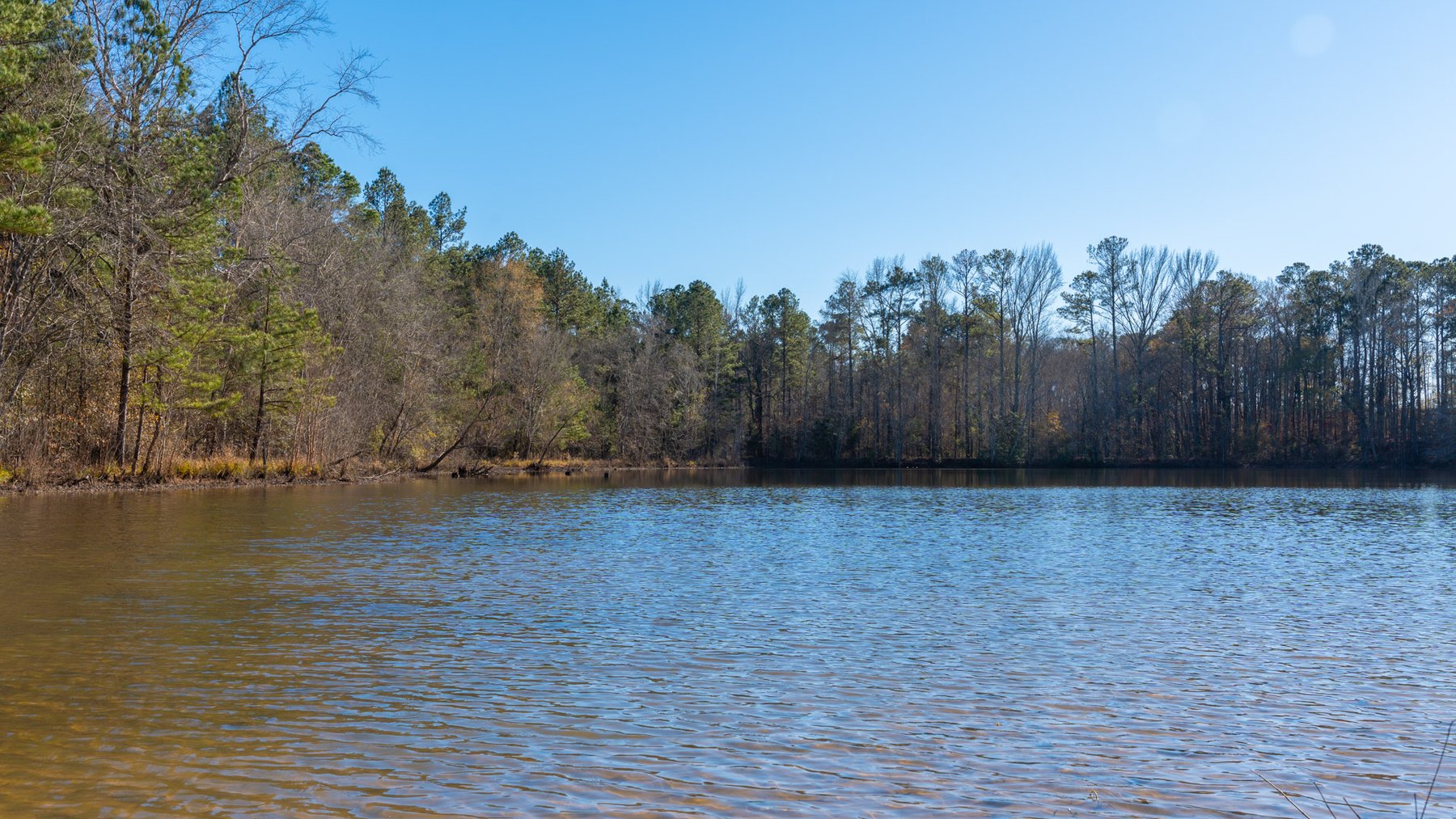 Image for Margaret Kenworthy Estate - 199+/- Total Acres - 1,760 SF Southern Charm Home - Planted Pine, Hardwoods & Pond - Echeconnee Creek Frontage