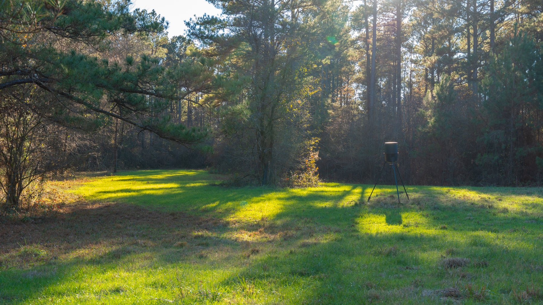 Image for Margaret Kenworthy Estate - 199+/- Total Acres - 1,760 SF Southern Charm Home - Planted Pine, Hardwoods & Pond - Echeconnee Creek Frontage