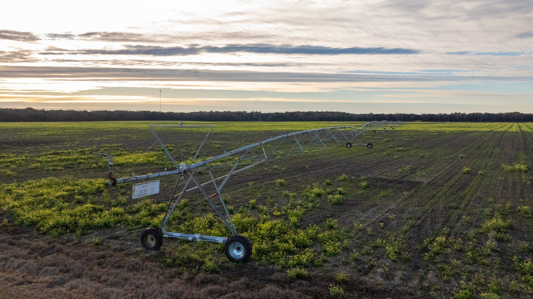 Image for The Cochran Farm - 328+/- Total Acres - Irrigated Row Crop Farm - Beautiful Pine & Hardwoods
