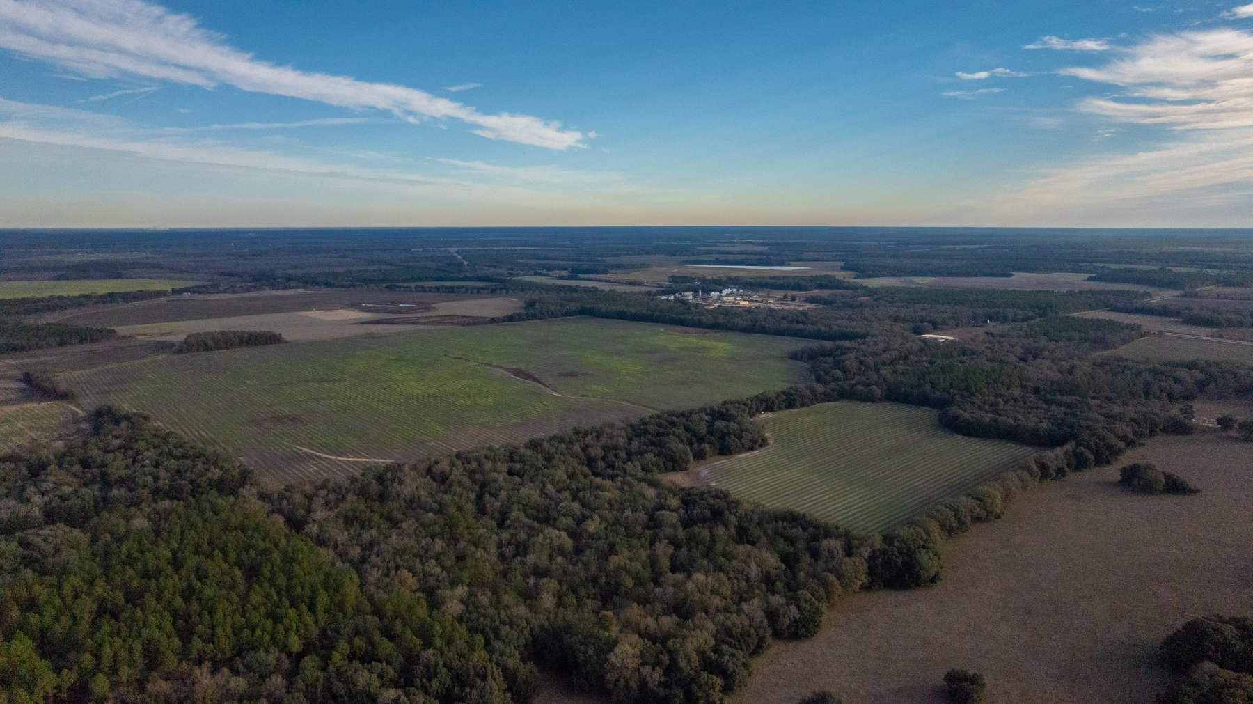 Image for The Cochran Farm - 328+/- Total Acres - Irrigated Row Crop Farm - Beautiful Pine & Hardwoods