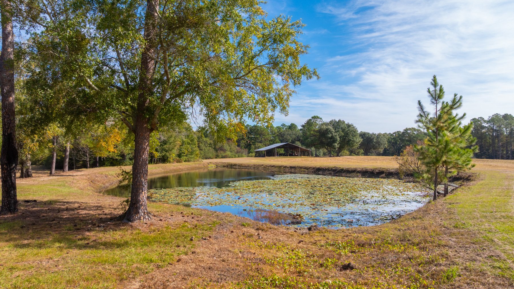 Image for 53± Acres - Land Auction - Beautiful Farmland, Timber & Ponds - Outdoor Paradise in Colquitt County, GA