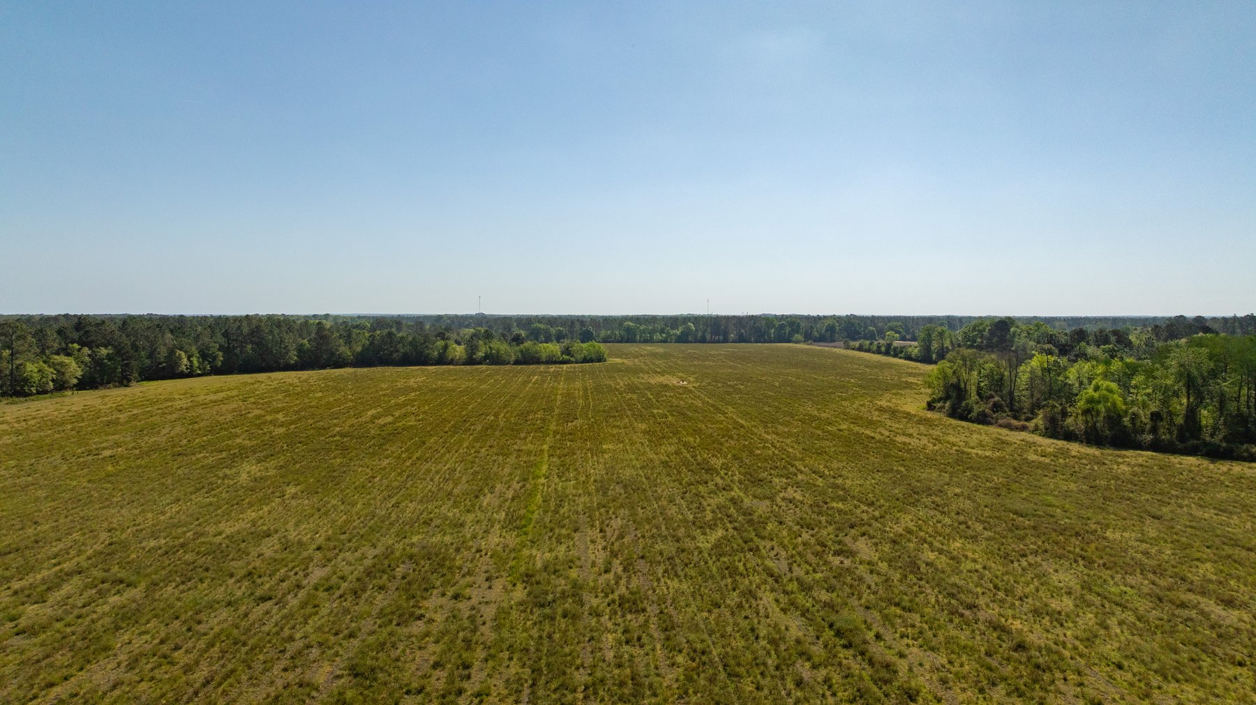 Image for Reynolds Tract - Tison Estate - 92.37± Total Acres - Premium Row Crop Farmland - Mixed Hardwoods - Located in Big Buck Country