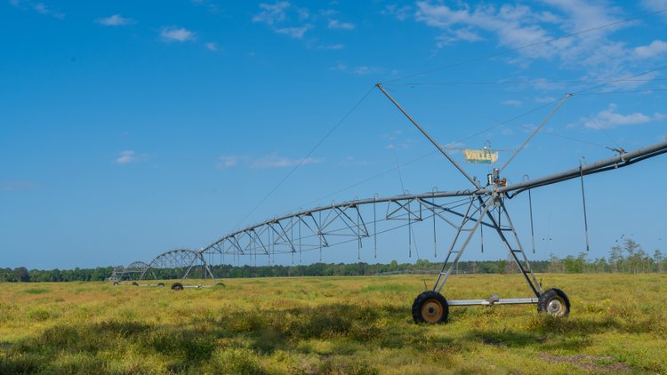 Image for Pasture Tract - Tison Estate - 109± Total Acres - Premium Row Crop Farmland - Fenced Pasture & Catch Pin - Excellent Worth County Location