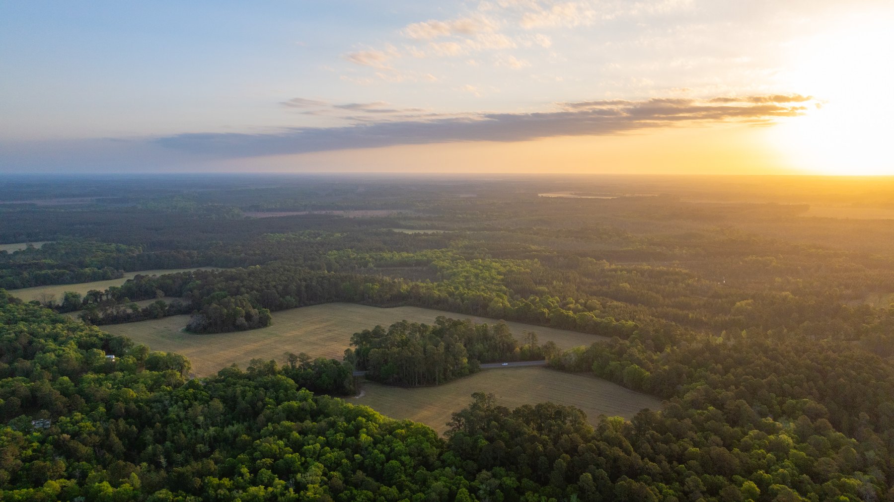 Image for Gregory Tract - Tison Estate - 333±  Total Acres - Premium Recreational Tract w/ Row Crop Farmland - Borders Aultman Forest - Offered in Two Tracts