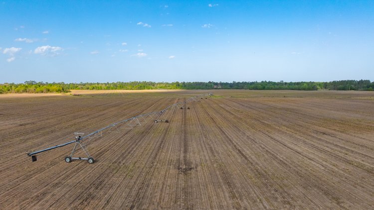 Image for Horsebarn Tract - Tison Estate - 258± Total Acres - Irrigated Row Crop Farm - Premium Recreational Tract - Offered in 2 Tracts