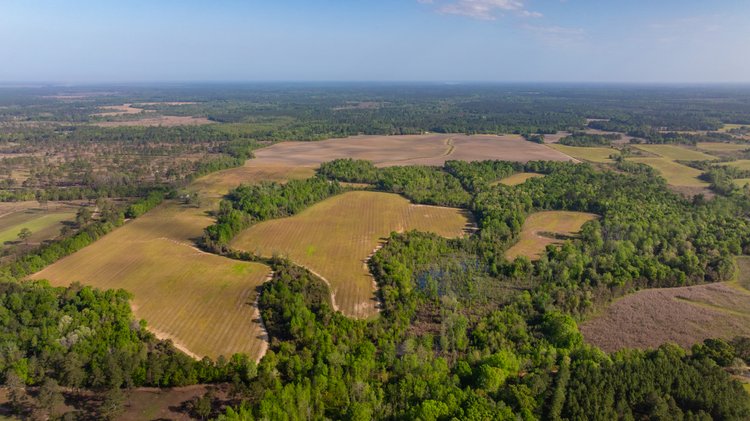 Image for Horsebarn Tract - Tison Estate - 258± Total Acres - Irrigated Row Crop Farm - Premium Recreational Tract - Offered in 2 Tracts