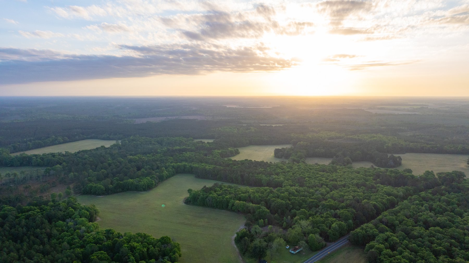 Image for Gregory Tract - Tison Estate - 333±  Total Acres - Premium Recreational Tract w/ Row Crop Farmland - Borders Aultman Forest - Offered in Two Tracts