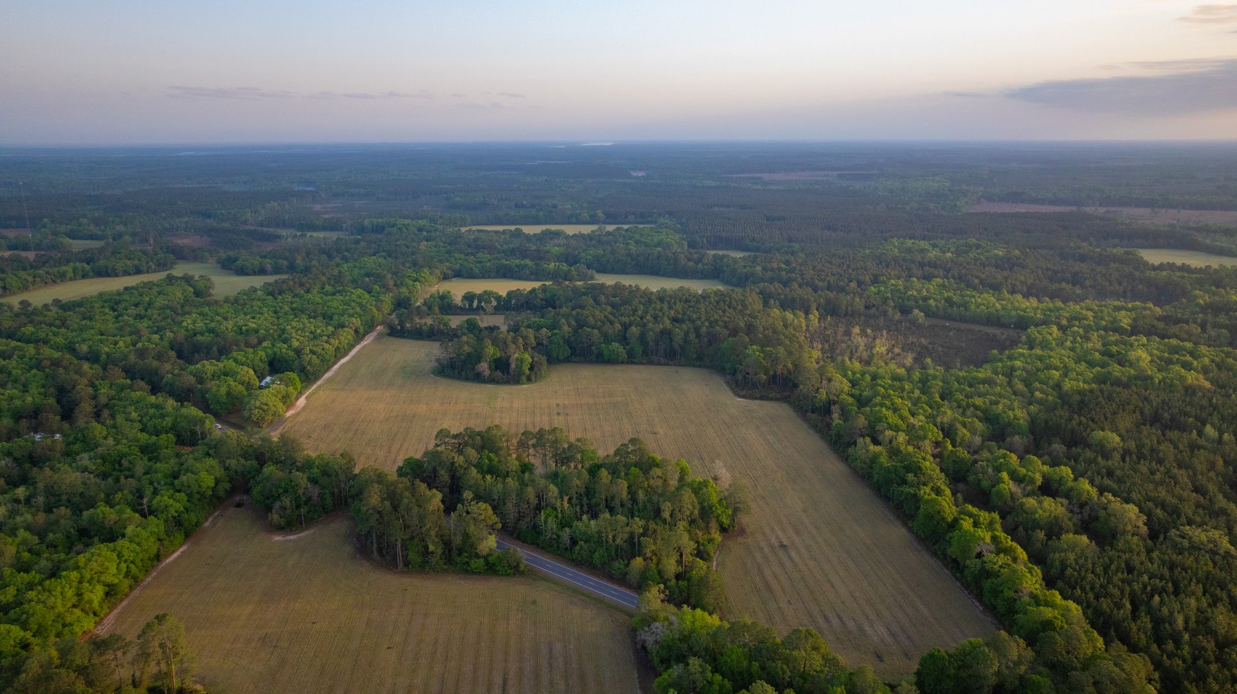 Image for Gregory Tract - Tison Estate - 333±  Total Acres - Premium Recreational Tract w/ Row Crop Farmland - Borders Aultman Forest - Offered in Two Tracts
