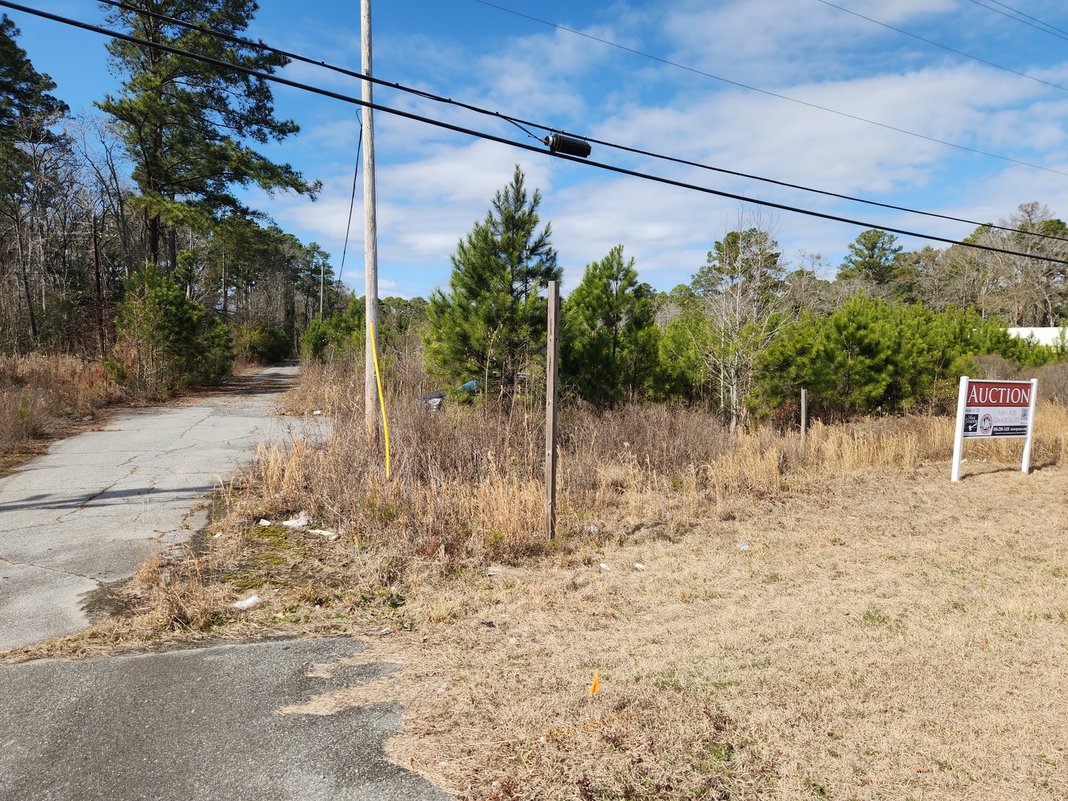 Image for Savannah, GA: Prime 8.65± Acres Commercial Opportunity on High Growth Ogeechee Corridor (Chatham County)