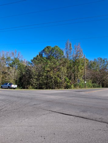 Image for Talladega, AL: 2 Parcels Totaling 63± Acres with 12 Surveyed Lots (Talladega County)