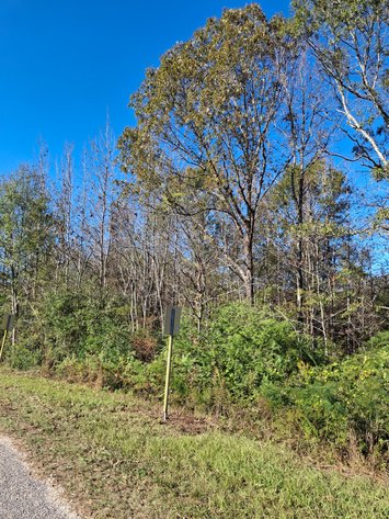 Image for Talladega, AL: 2 Parcels Totaling 63± Acres with 12 Surveyed Lots (Talladega County)