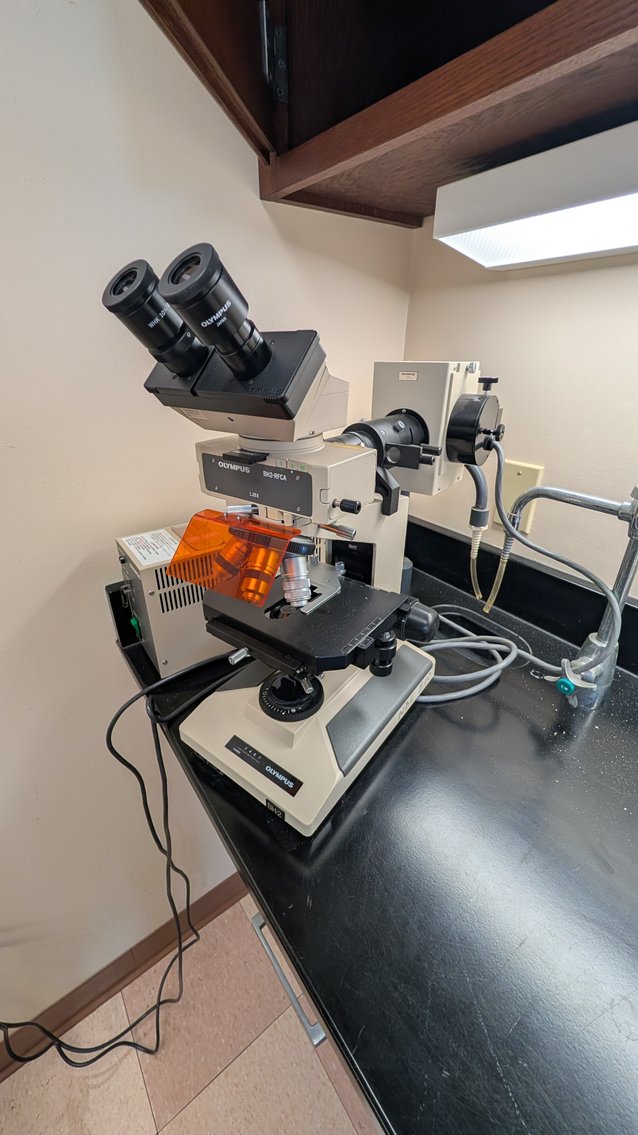 Image for Cleveland, OH: Campus Maintenance Equipment, Commercial Kitchen, Laboratory, Fitness Assets & More of Former College