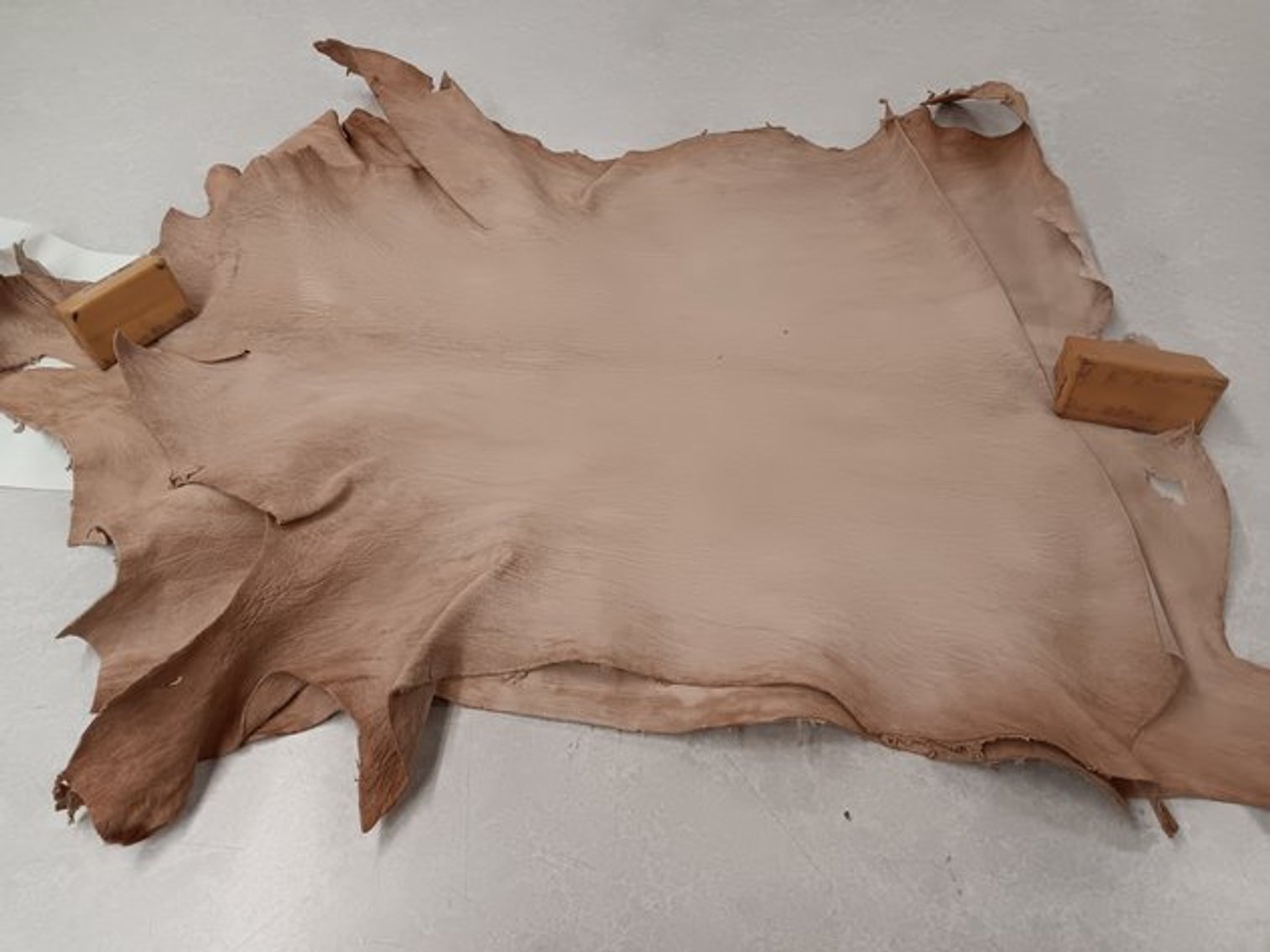 Image for Kater Crafts Bookbinder's Going out of Business Auction 2