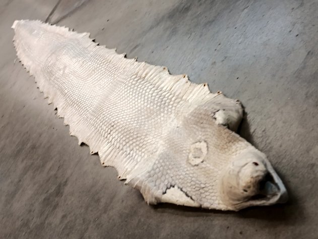 Image for Kater Crafts Bookbinder's Going out of Business Auction 4