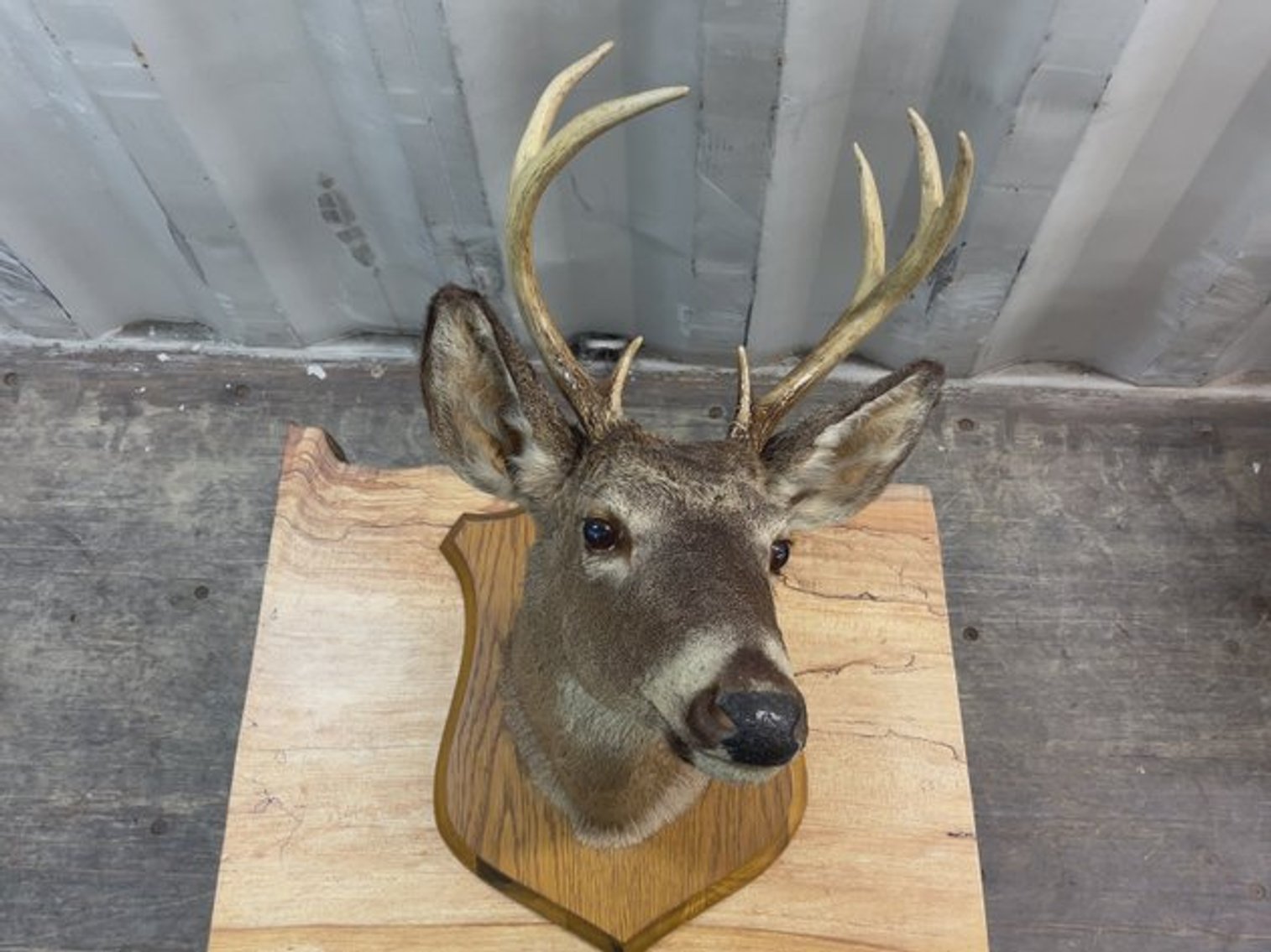 Image for G & F Antiques Auction