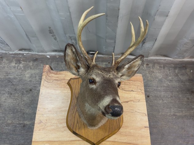 Image for G & F Antiques Auction