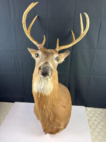 Image for Heath Ohio Online Auction July 5th